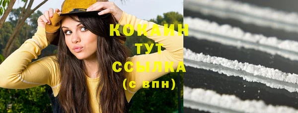 таблы Богородицк