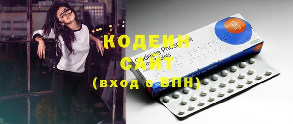 таблы Богородицк