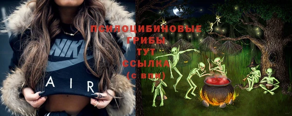 таблы Богородицк
