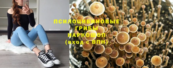 таблы Богородицк