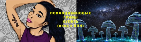 таблы Богородицк